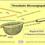 TTP and aHUS- Different diseases but still linked