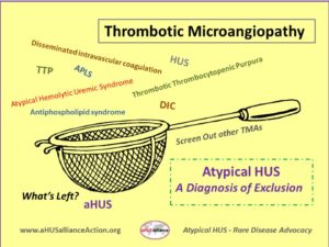 Read more about the article aHUS diagnosis: time is of the essence