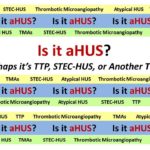 Is it aHUS?    Perhaps it’s TTP, STEC-HUS, or Another TMA