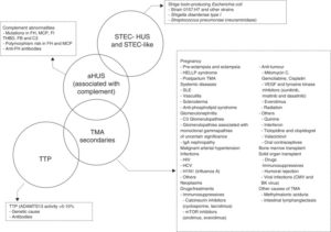 Read more about the article Be the clinician and diagnose aHUS