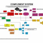 An aHUS Game Changer