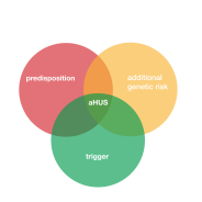 Read more about the article Anti-FHs aHUS – a Disease within a Disease