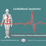 CardioRenal Syndrome:  The Relationship of Heart & Kidney Health