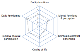 Read more about the article The role of Positive Health in the Dutch approach to aHUS