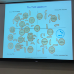 People have always had Primary aHUS?