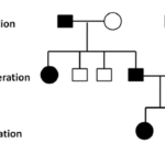 Percentages and probabilities -AHUS AND MATH(S)