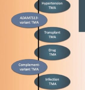 Read more about the article TMA-Semantics are important