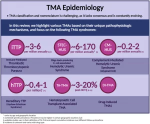 Read more about the article TMAs and aHUS illustrated