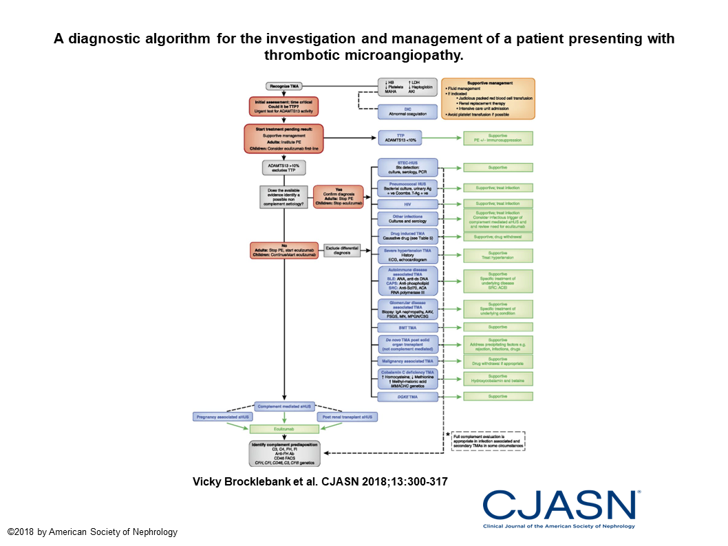 Algorithms: Steps to Diagnose aHUS & other TMAs - aHUS Alliance Action