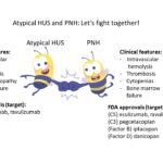 Atypical HUS and PNH: better together?