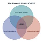 aHUS may not always happen without 3 hits