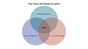 aHUS may not always happen without 3 hits